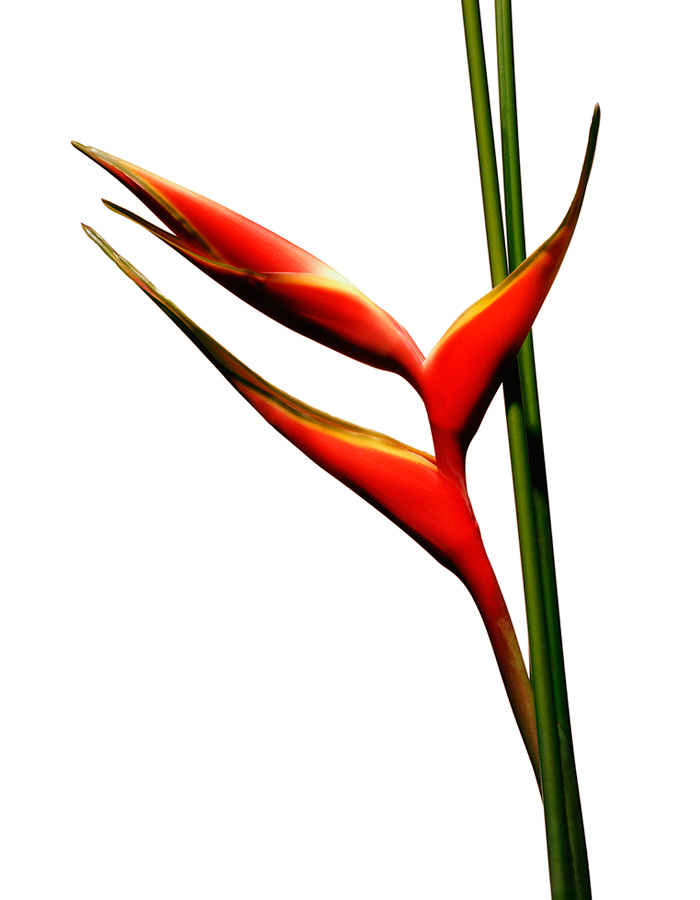 image_20.jpg