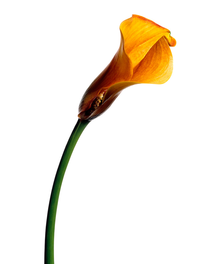 image_21.jpg